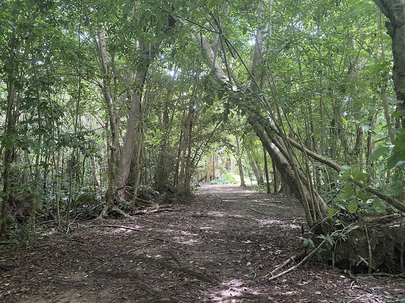 Right Photo 2